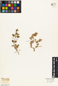 SW_BNB_s3010-05201_IMG-0000000001