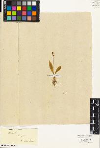 SW_BNB_s3010-05203_IMG-0000000001