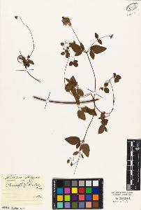 SW_BNB_s3010-05206_IMG-0000000001