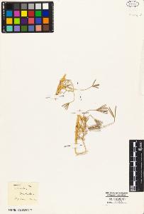 SW_BNB_s3010-05215_IMG-0000000001
