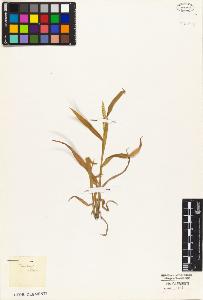 SW_BNB_s3010-05216_IMG-0000000001