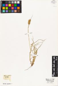 SW_BNB_s3010-05218_IMG-0000000001