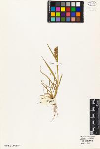 SW_BNB_s3010-05219_IMG-0000000001