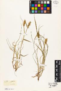 SW_BNB_s3010-05220_IMG-0000000001