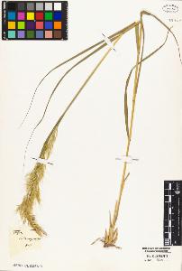 SW_BNB_s3010-05224_IMG-0000000001