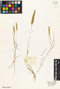 SW_BNB_s3010-05229_IMG-0000000001