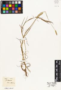 SW_BNB_s3010-05231_IMG-0000000001