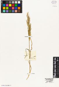 SW_BNB_s3010-05234_IMG-0000000001