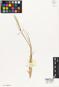 SW_BNB_s3010-05236_IMG-0000000001