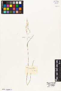 SW_BNB_s3010-05239_IMG-0000000001