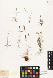 SW_BNB_s3010-05240_IMG-0000000001