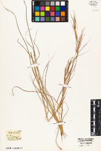 SW_BNB_s3010-05242_IMG-0000000001
