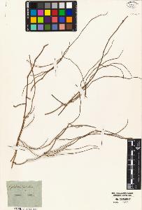 SW_BNB_s3010-05246_IMG-0000000001