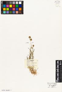 SW_BNB_s3010-05248_IMG-0000000001