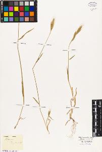 SW_BNB_s3010-05249_IMG-0000000001