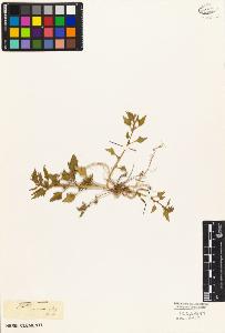 SW_BNB_s3010-05250_IMG-0000000001