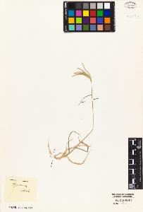 SW_BNB_s3010-05257_IMG-0000000001
