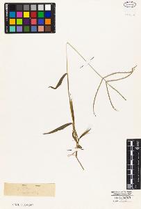 SW_BNB_s3010-05264_IMG-0000000001