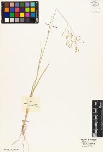 SW_BNB_s3010-05265_IMG-0000000001