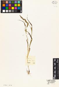 SW_BNB_s3010-05266_IMG-0000000001
