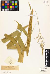 SW_BNB_s3010-05268_IMG-0000000001
