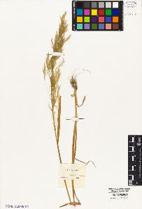 SW_BNB_s3010-05269_IMG-0000000001