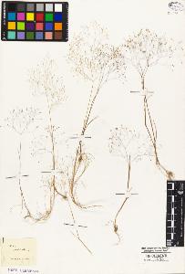 SW_BNB_s3010-05272_IMG-0000000001