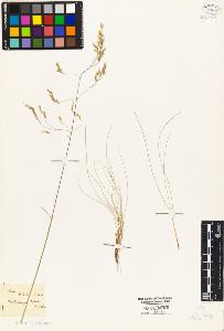 SW_BNB_s3010-05273_IMG-0000000001