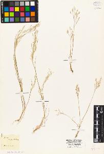 SW_BNB_s3010-05274_IMG-0000000001