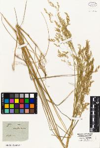 SW_BNB_s3010-05276_IMG-0000000001