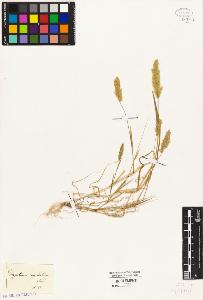 SW_BNB_s3010-05277_IMG-0000000001