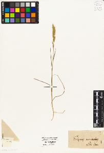 SW_BNB_s3010-05279_IMG-0000000001