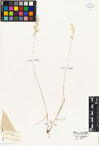 SW_BNB_s3010-05280_IMG-0000000001