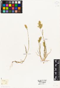 SW_BNB_s3010-05281_IMG-0000000001