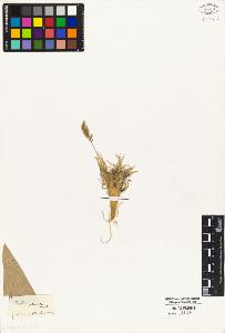 SW_BNB_s3010-05282_IMG-0000000001