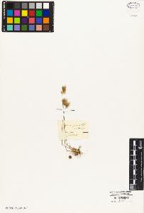 SW_BNB_s3010-05286_IMG-0000000001