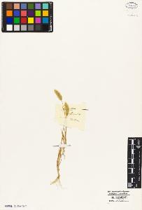 SW_BNB_s3010-05289_IMG-0000000001