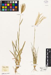 SW_BNB_s3010-05290_IMG-0000000001