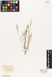 SW_BNB_s3010-05293_IMG-0000000001