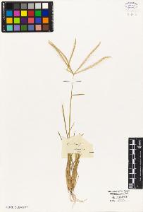 SW_BNB_s3010-05294_IMG-0000000001