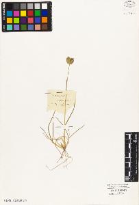 SW_BNB_s3010-05296_IMG-0000000001