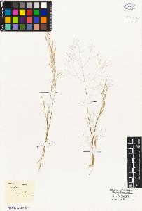 SW_BNB_s3010-05299_IMG-0000000001