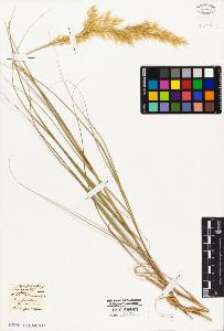 SW_BNB_s3010-05300_IMG-0000000001
