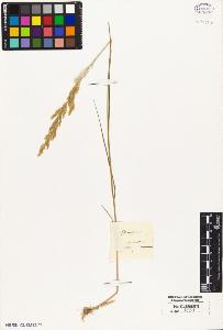 SW_BNB_s3010-05301_IMG-0000000001