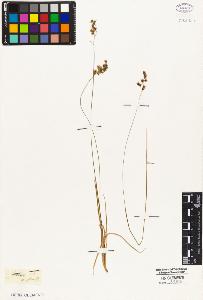 SW_BNB_s3010-05302_IMG-0000000001