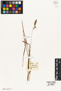 SW_BNB_s3010-05305_IMG-0000000001
