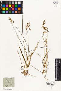 SW_BNB_s3010-05306_IMG-0000000001