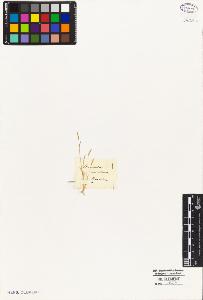 SW_BNB_s3010-05307_IMG-0000000001