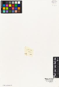 SW_BNB_s3010-05308_IMG-0000000001
