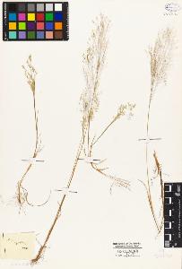 SW_BNB_s3010-05310_IMG-0000000001